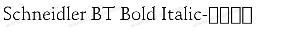 Schneidler BT Bold Italic字体转换